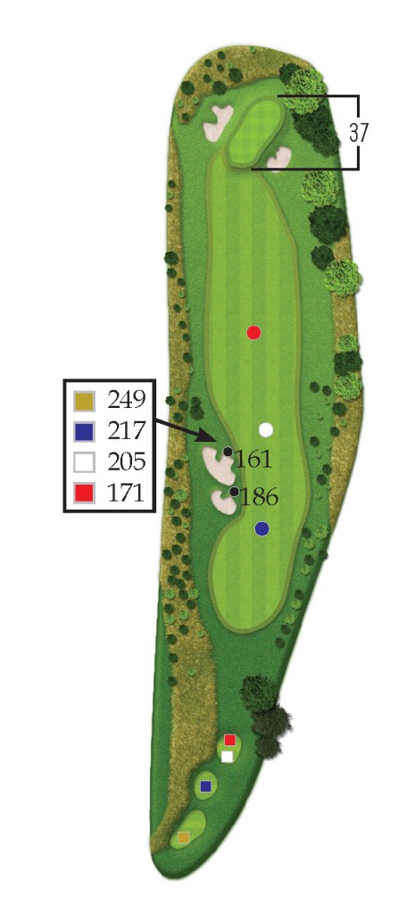 the lakes hole 8 overview