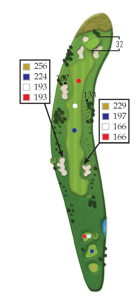 the woods hole 1 overview