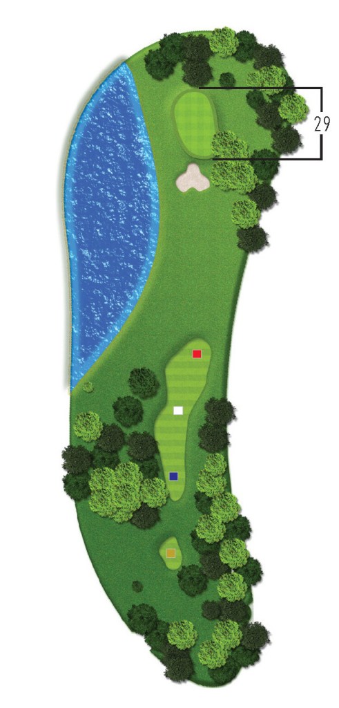 the woods hole 5 overview