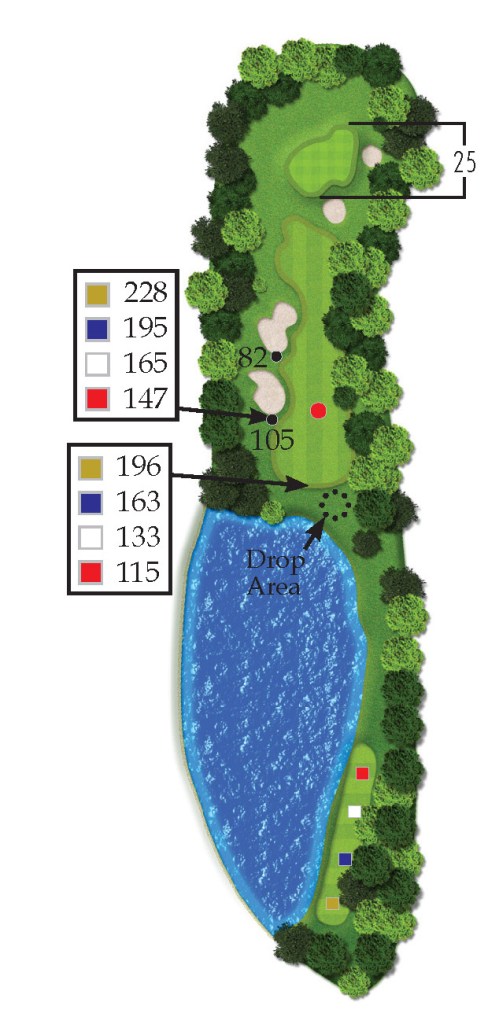 the woods hole 6 overview