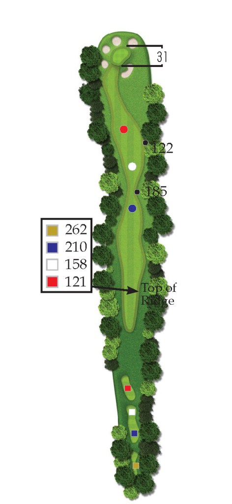 the woods hole 7 overview